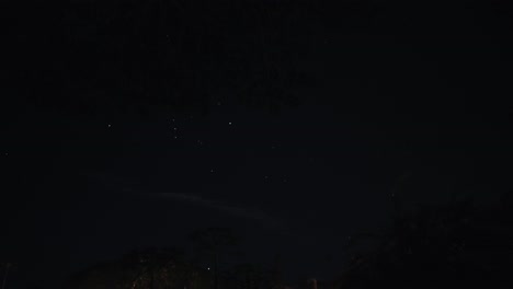 Timelapse-of-starry-night-sky-over-Lanikai-beach,-Oahu,-Hawaii-with-tree-canopy-overhead-and-planes-passing-by