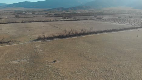 Pull-away-shot-showcasing-a-row-of-dead-trees-surrounded-by-open-fields-then-revealing-a-stunning-set-of-mountains