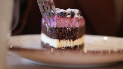 a slice of chocolate cake with a layer of cream and blueberries