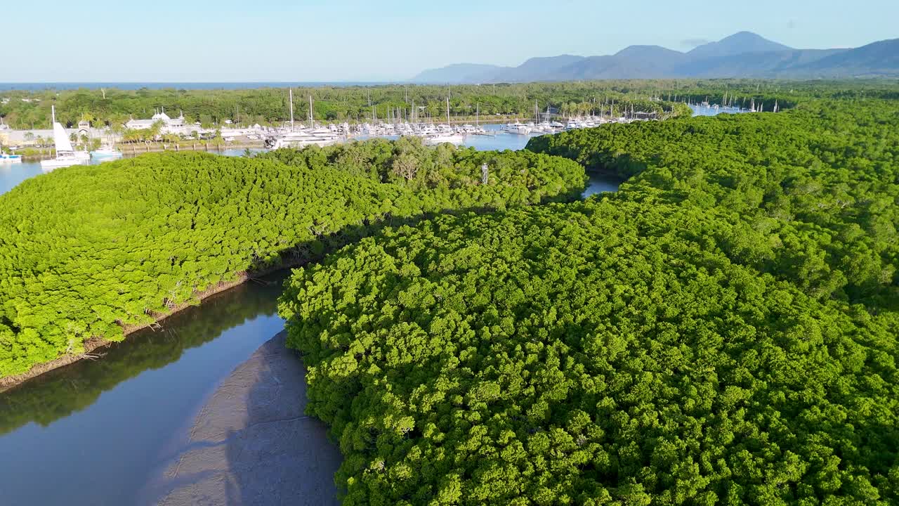 Drone footage captures lush mangroves and marina in Port Douglas, Australia, under bright daylight with a serene, natural ambiance