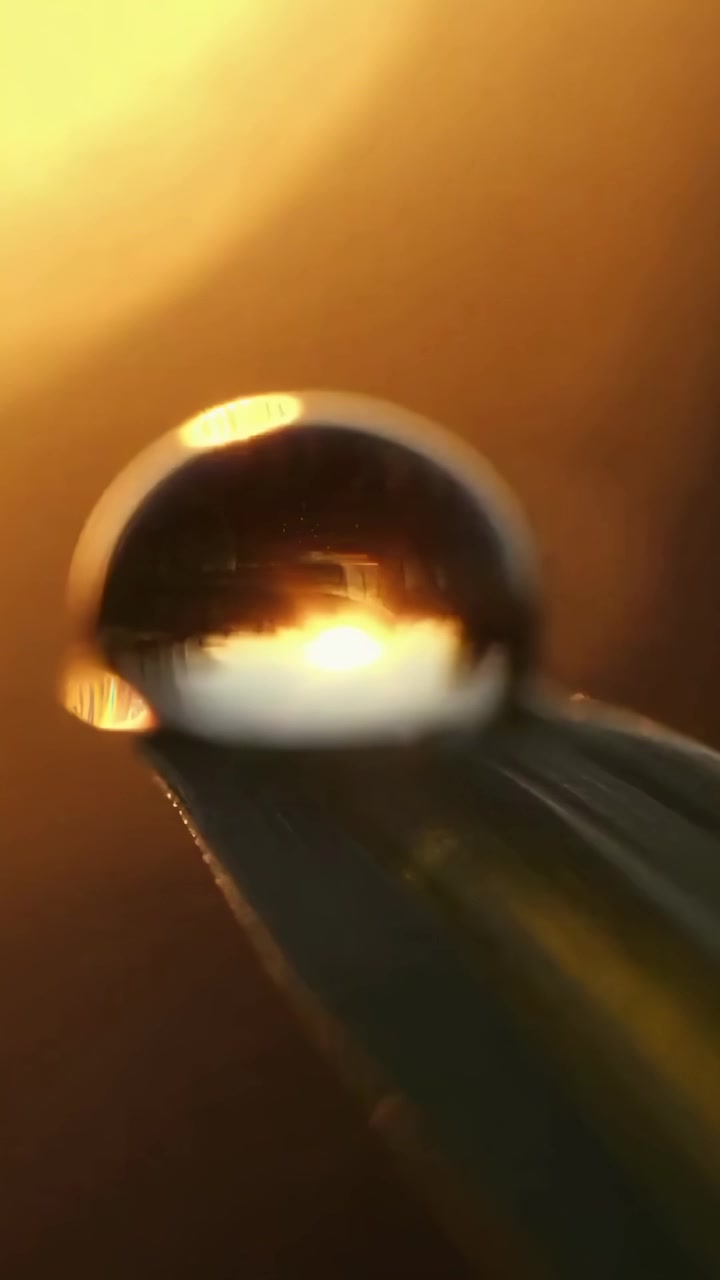 Macro View of Dew Drop on Grass at Sunset