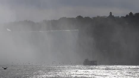 birds flying in slow motion infront of niagra falls with boat , canada