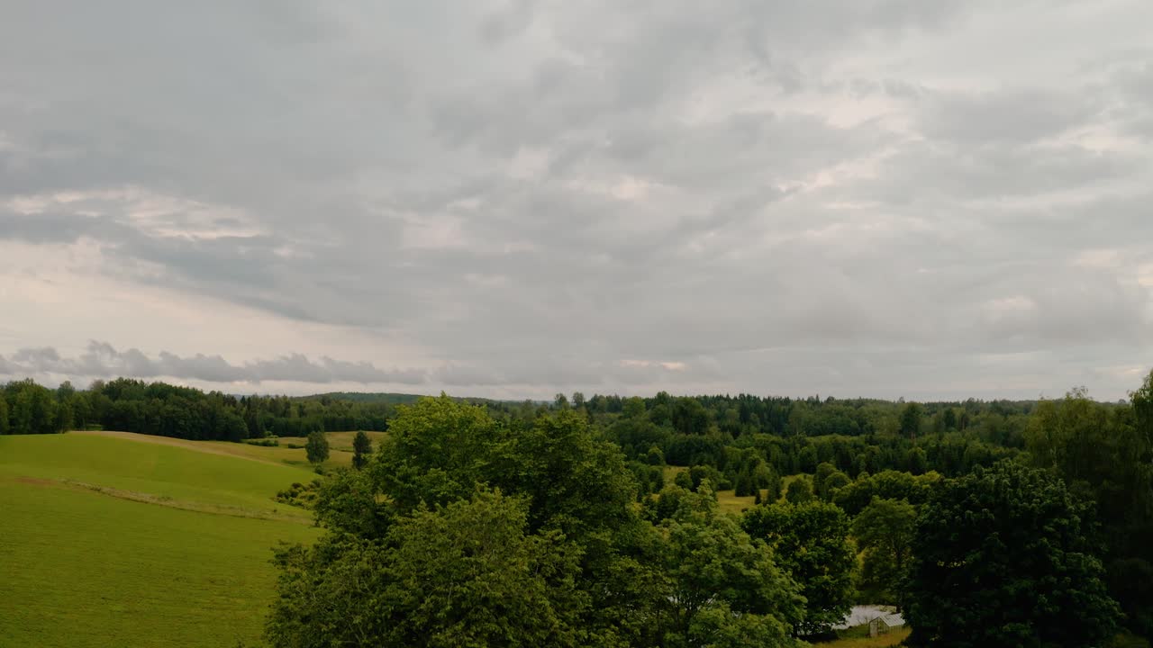 Drone ascending from trees into open view of forest landscape