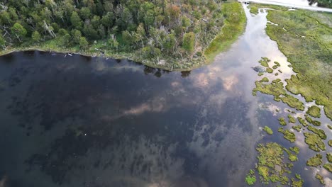 Aerial-Drone-Above-Fagnano-Cami-Lake-Green-Forest-Reflective-Water-in-Tolhuin-main-island-of-the-Tierra-del-Fuego-archipelago,-shared-by-Argentina-and-Chile