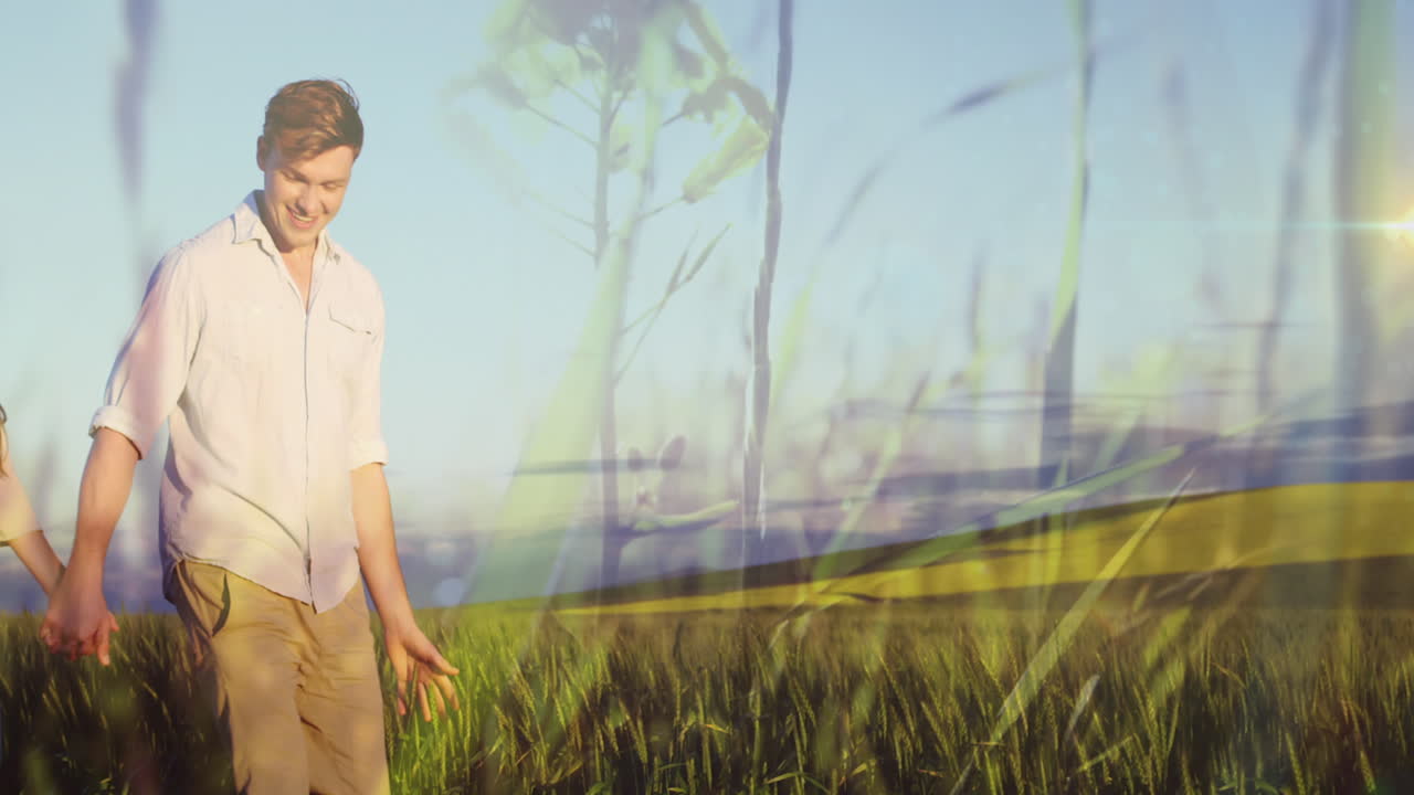 함께  ⁇ 고 있는 백인 젊은 부부의 손을 잡고 있는 녹색 잔디의 복합 비디오