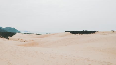 establishing shot of sand dunes near a tropical beach