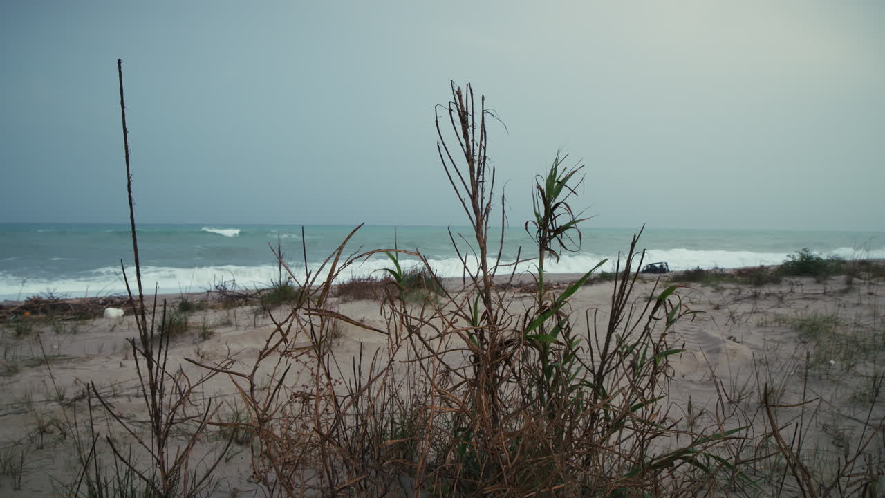 Ocean With Stormy Waves After Some Plants Grown On The Beach