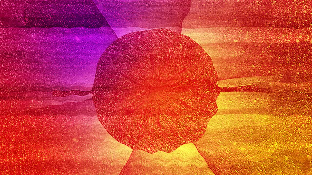 Abstract Art Background Loop