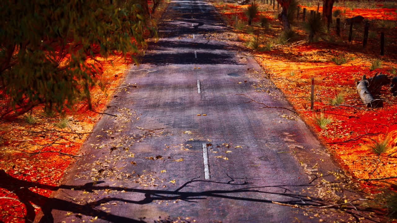 오스트레일리아 의 덤불 나무 들 이 있는 열린 도로