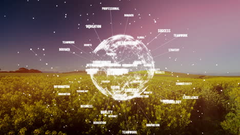 global business keywords animation over agricultural field with network connections