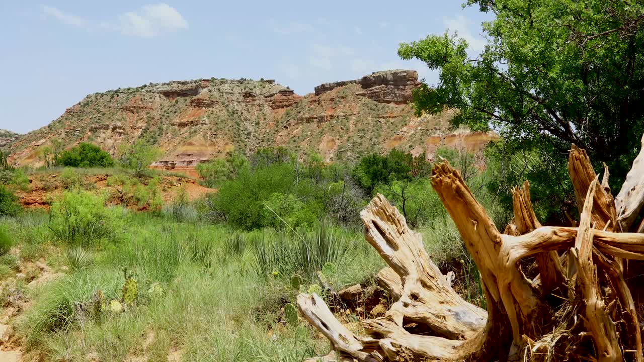 Static video of mountains in Palo Duro Canyon State Park in Texas. There is a unique log in the foreground