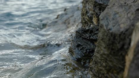 慢慢的波浪 漂浮在海邊的岩石上 和平的概念