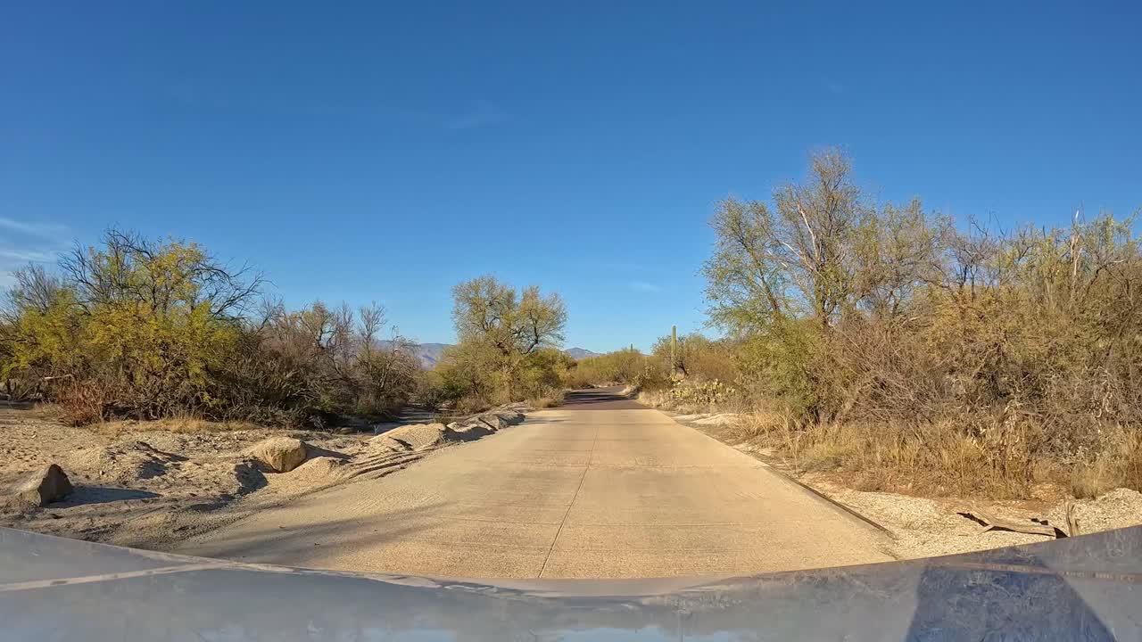 punto de vista - conduciendo a través del parque nacional saguaro en arizona