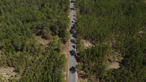 aerial footage of a white car driving on a tarmac road through a pine tree forest