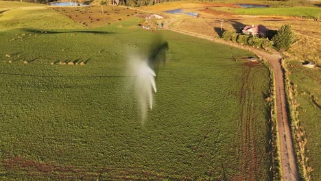 Aerial-orbit-shot-of-watering-process-on-farm-field-in-Tasmania-during-heat