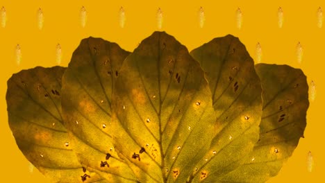 Animation-of-orange-autumn-leaves-over-orange-background