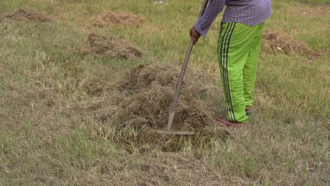 un hombre limpiando la hierba seca cultivada en el prado usando una recortadora fuerte o una cortadora de cepillos