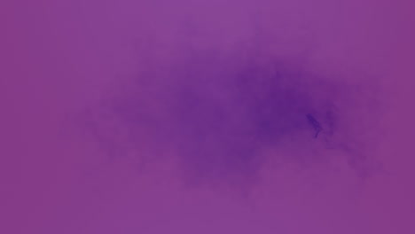 animación de una sombra púrpura sobre un fondo púrpura
