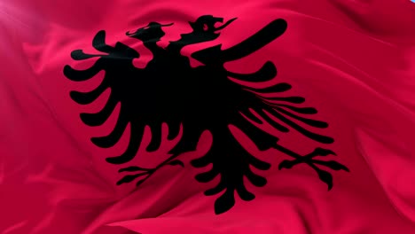 albanian flag waving at wind with blue sky, loop