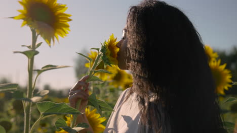 mujer joven en un campo de girasoles