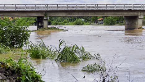 Río-Con-Alto-Nivel-De-Agua-Después-De-Una-Fuerte-Tormenta-En-Phuket,-Tailandia