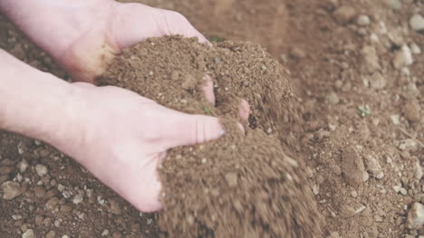 man holding pile of soil in hands