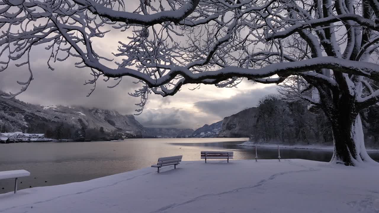 스위스 웨센에 있는 렌시 (walensee) 의 평온한 겨울 풍경. 눈으로 인 나무와 벤치가 평화로운 호수변을 따라 서 있고, 차분한 물은 호수를 둘러싸고 있는 눈으로 가득 찬 산을 반영합니다.
