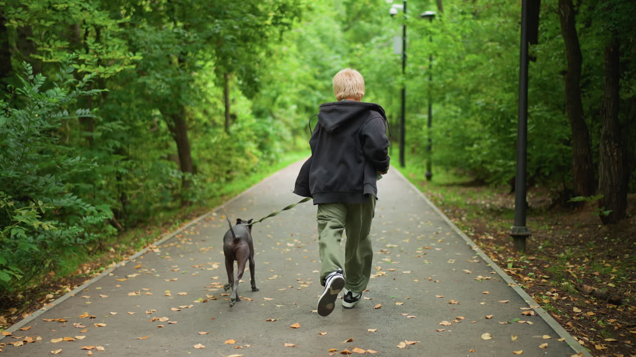 Young Boy With Dog On Leafy Trail, Boy Swiftly Running With His Dog Through Park Leaves, An Energetic Child And His Dog Dash Along Shaded Park Pathway Covered With Fallen Autumn Leaves