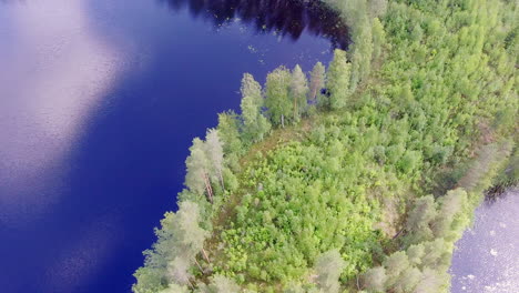 drone video of a logging area inside a cape in forest lake
