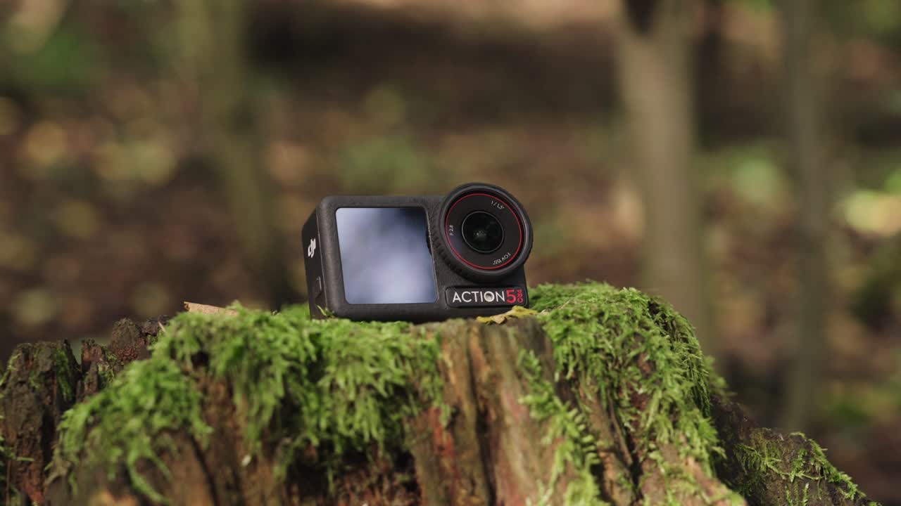 Black action camera on tree stump with green moss in forest, Czechia