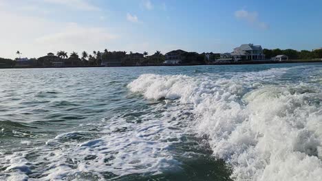 Dolphins-Follow-Boat-Wake-as-they-Roll-and-Swim-Through-Waves