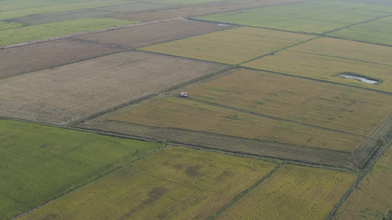 Small tractor harvesting big grain field in Cambodia