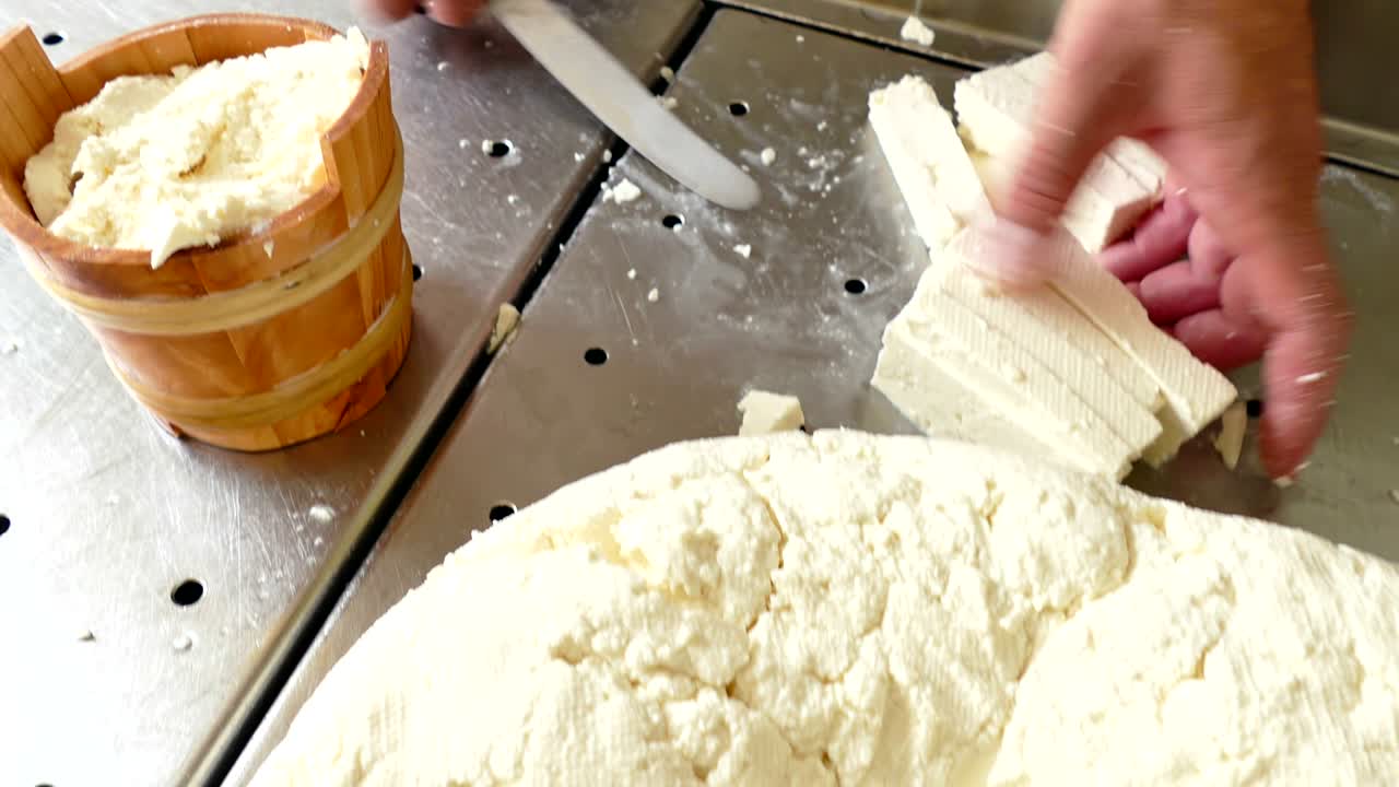 Production of Cheese in the Milk Industry