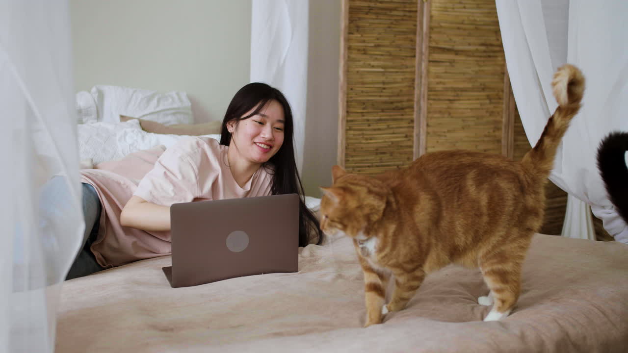 Wanita bersama kucing di tempat tidur