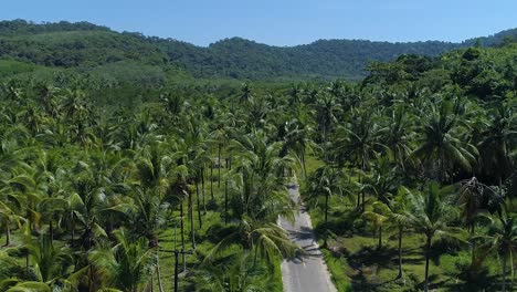 aerial of an empty road surrounded by palm trees at koh kood island, thailand