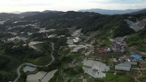 vista general del paisaje del distrito de brinchang dentro del área de cameron highlands de malasia