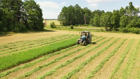 tractor cuts green grass in the countryside. agricultural process in the grass land near green trees. tractor machine for cutting grass for livestock on the field in summer day.