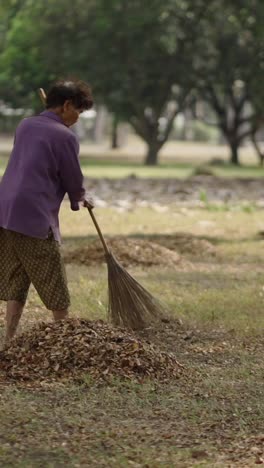 woman sweeping leaves in park