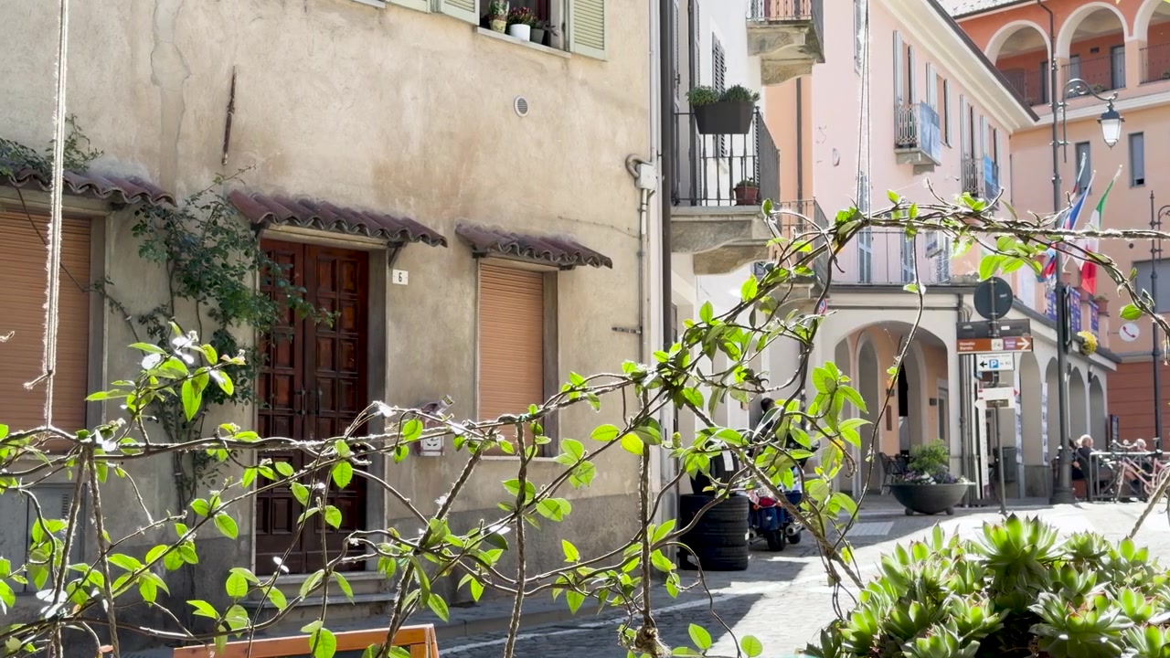 Encantadora escena de calle italiana con planta trepadora en primer plano