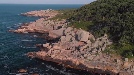 bright red rock shoreline at the edge of the forest -aerial