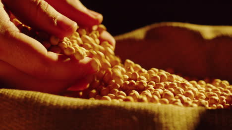 hand pouring chickpeas into a burlap sack