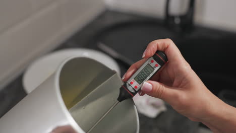 fair lady switches on digital food thermometer and gently dips it into bowl containing warm mixture in modern kitchen, carefully monitoring temperature during food preparation with full focus