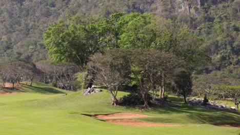 vegetación exuberante y árboles en un campo de golf