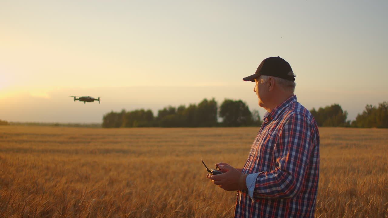 a senior adult farmer in a cap uses a drone to fly over a field of wheat. An elderly farmer uses a controller to control the drone. Modern technologies in agriculture