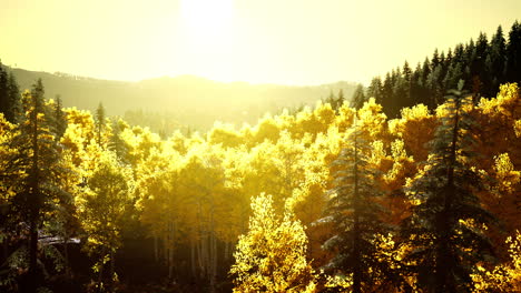 bright sunset in the mountains