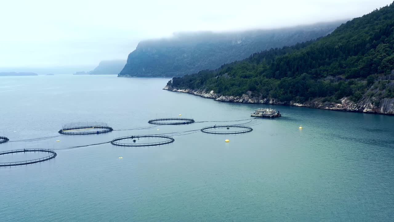 воздушные кадры рыболовства лосося на ферме в норвегии