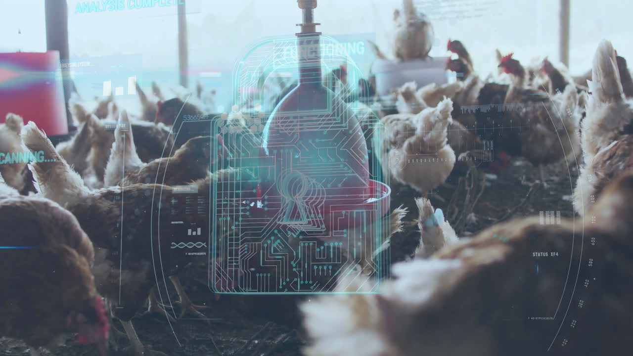 In school, animation of chickens in coop with digital security interface overlay