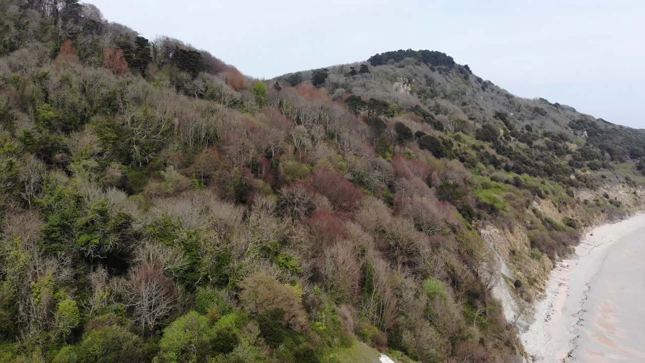 Aerial view capturing the serene coastline of Seaton undercliffs near Lyme Regis, showcasing lush greenery. Dolly Forward