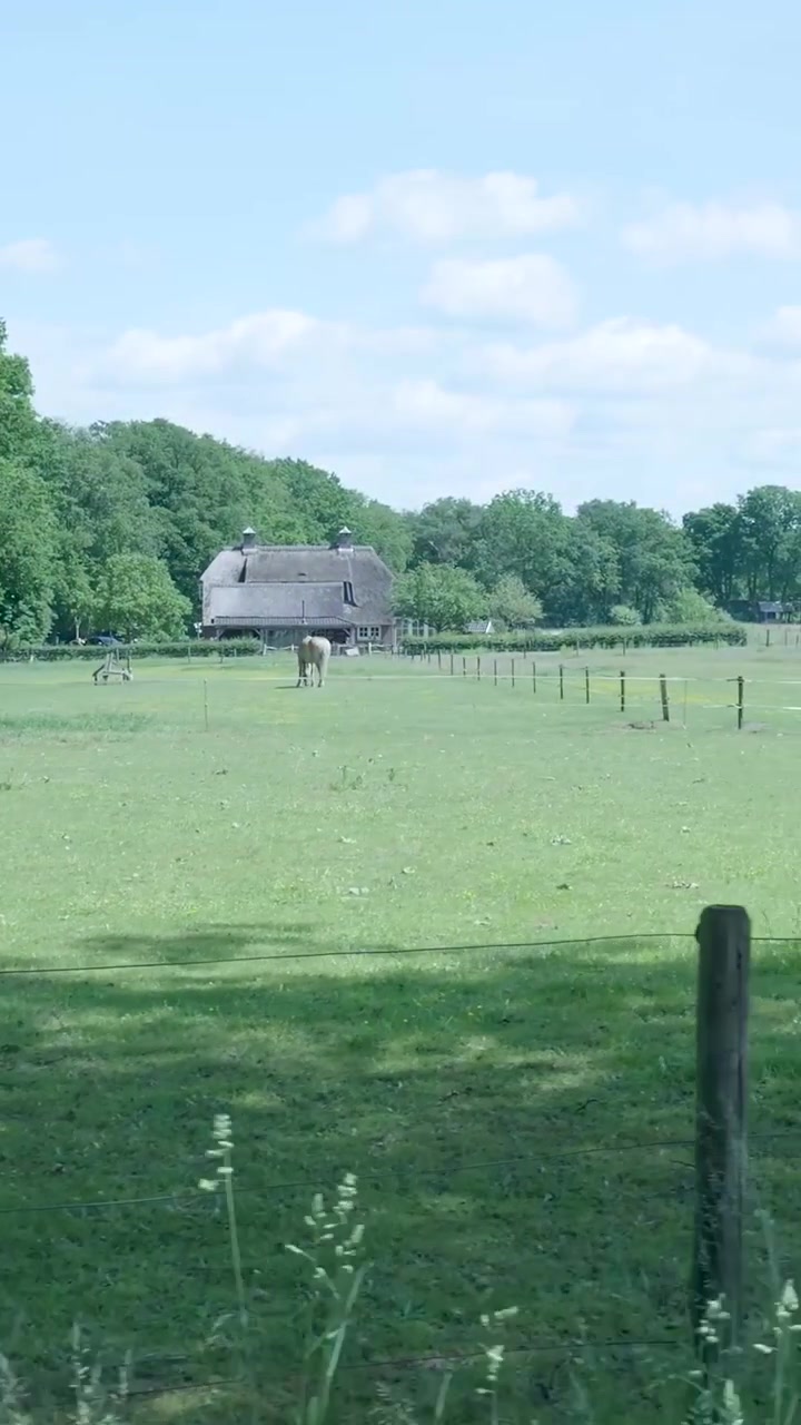 Horse Grazing in a Green Meadow Near a Traditional Farmhouse