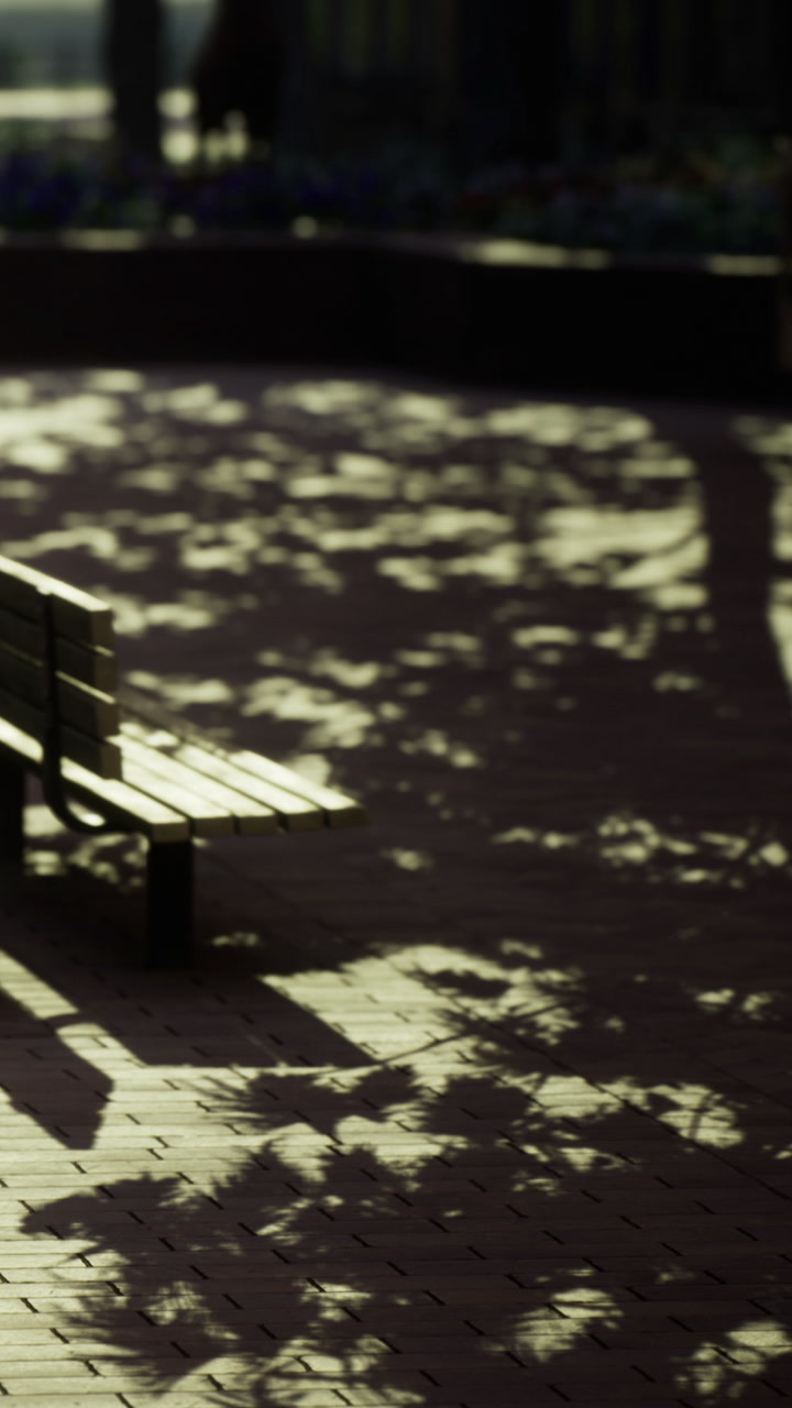 Wooden bench in shaded area with shadows on the ground at a public space